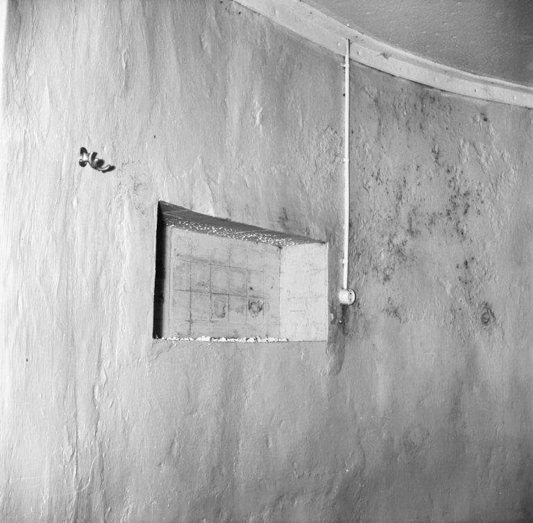 My Image 64