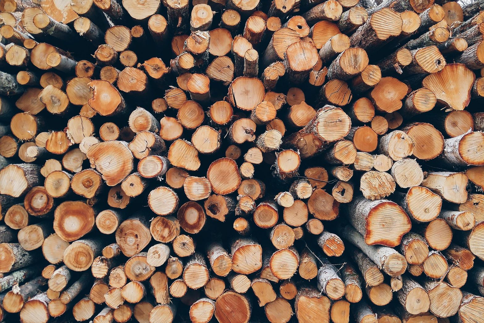 5 verschillende soorten hout voor in je kachel