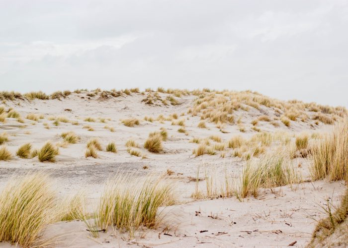 Heerlijk vertoeven op het strand van Hoek van Holland