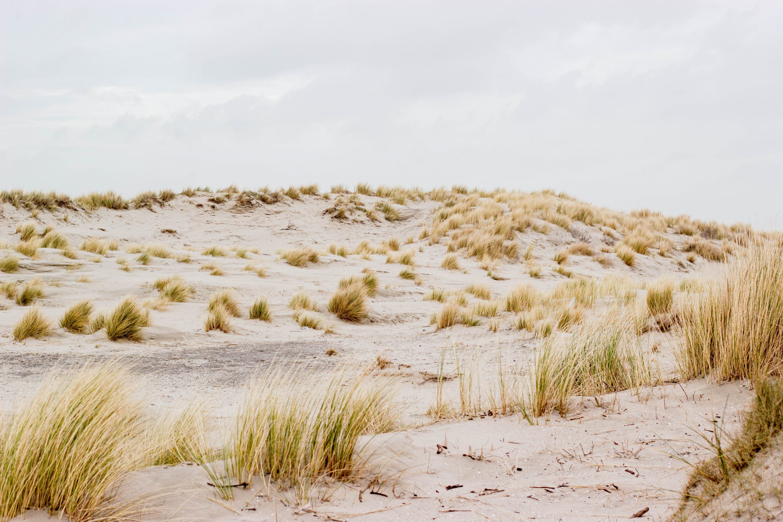 Heerlijk vertoeven op het strand van Hoek van Holland